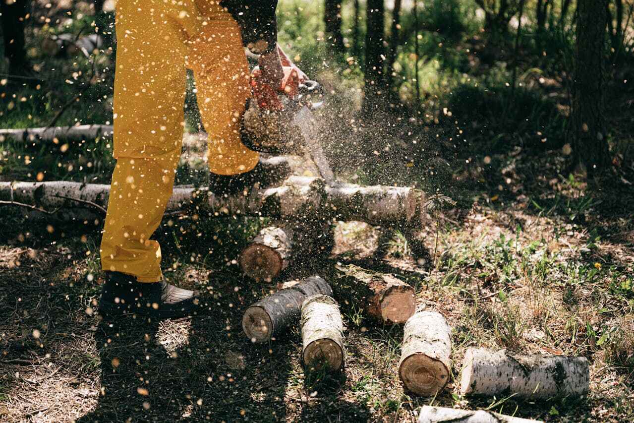 Best Tree Trimming Near Me  in Pleasant Hill, PA